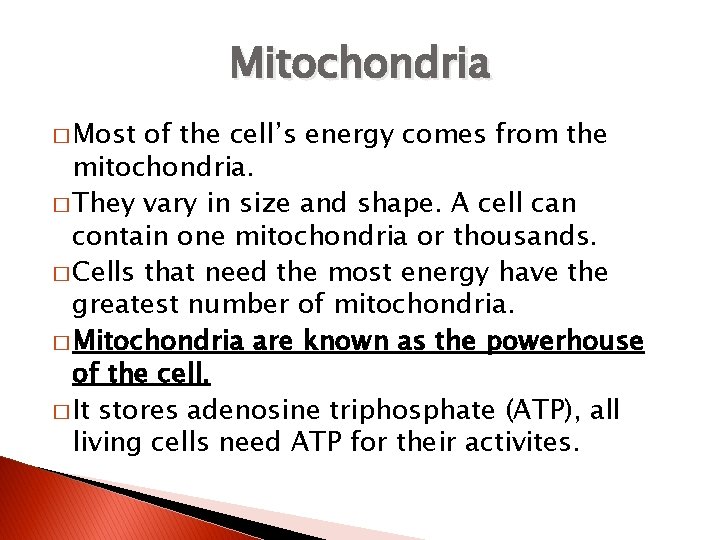 Mitochondria � Most of the cell’s energy comes from the mitochondria. � They vary
