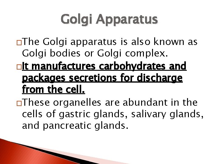 Golgi Apparatus �The Golgi apparatus is also known as Golgi bodies or Golgi complex.