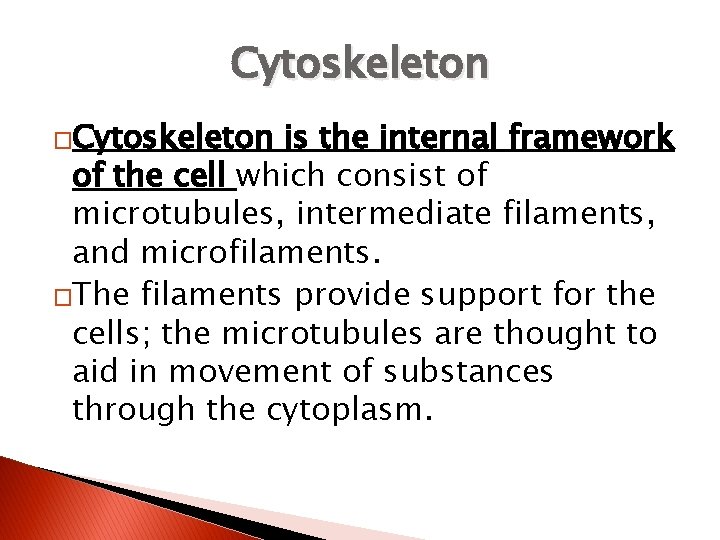 Cytoskeleton �Cytoskeleton is the internal framework of the cell which consist of microtubules, intermediate