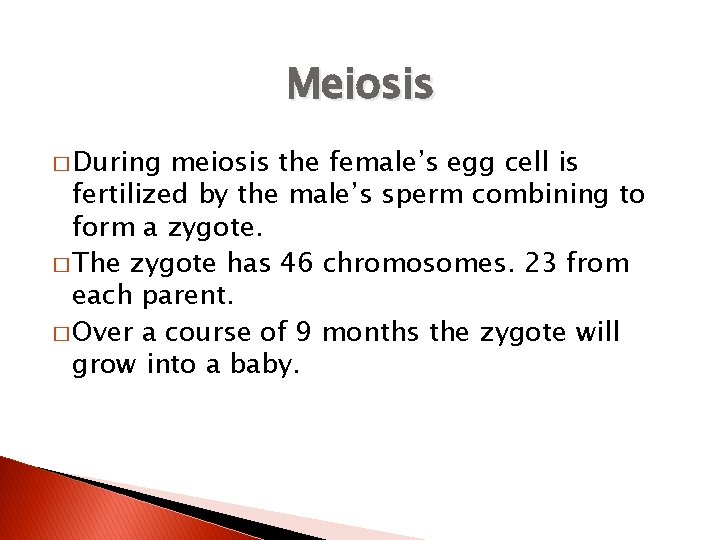 Meiosis � During meiosis the female’s egg cell is fertilized by the male’s sperm