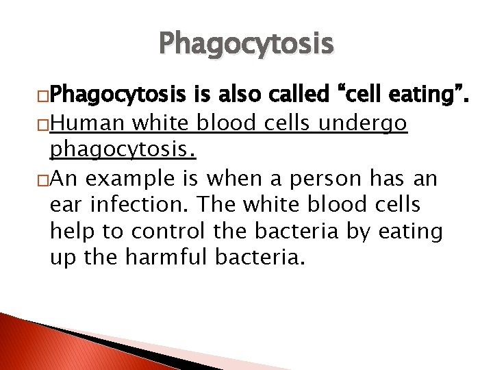 Phagocytosis �Phagocytosis is also called “cell eating”. �Human white blood cells undergo phagocytosis. �An