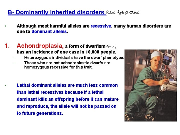 B- Dominantly inherited disorders ﺍﻟﺼﻔﺎﺕ ﺍﻟﺭﺿﻴﺔ ﺍﻟﺴﺎﺋﺪﺓ • Although most harmful alleles are recessive,