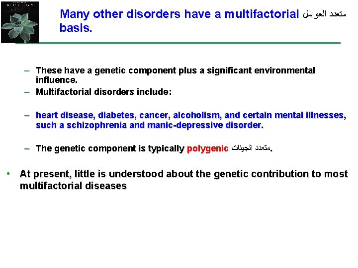 Many other disorders have a multifactorial ﻣﺘﻌﺪﺩ ﺍﻟﻌﻮﺍﻣﻞ basis. – These have a genetic
