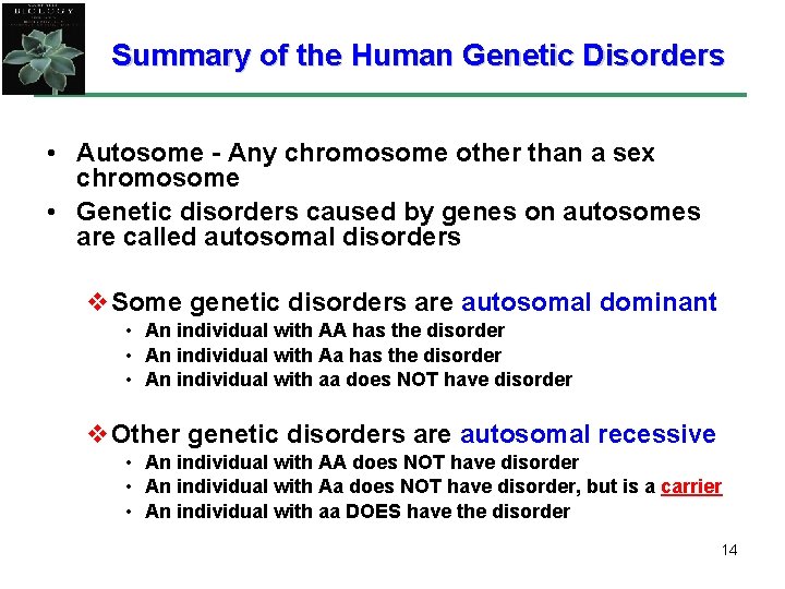 Summary of the Human Genetic Disorders • Autosome - Any chromosome other than a