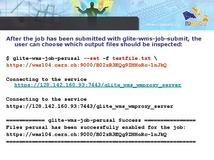 After the job has been submitted with glite-wms-job-submit, the user can choose which output