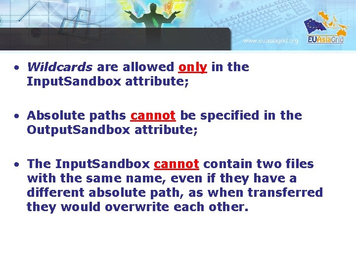  • Wildcards are allowed only in the Input. Sandbox attribute; • Absolute paths