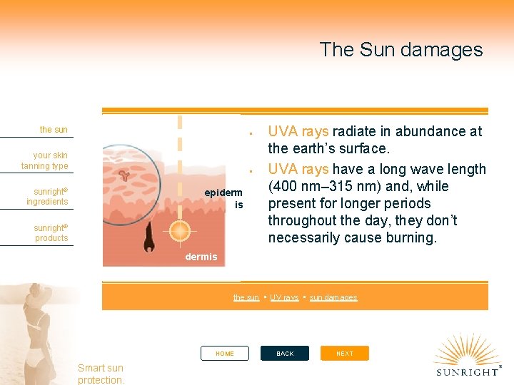 The Sun damages the sun your skin tanning type sunright® ingredients epiderm is sunright®