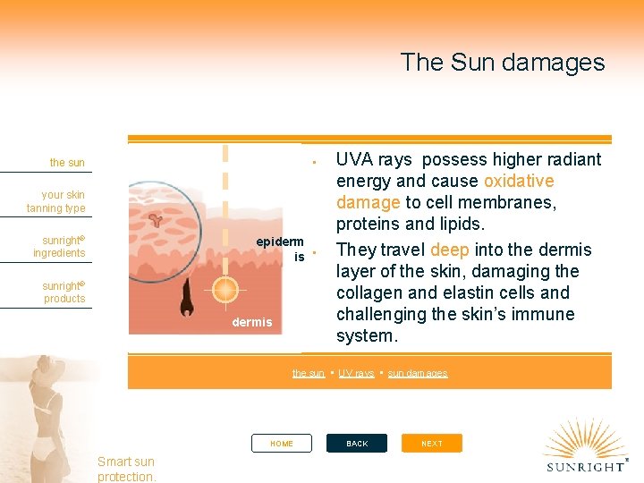 The Sun damages the sun your skin tanning type sunright® ingredients epiderm is sunright®