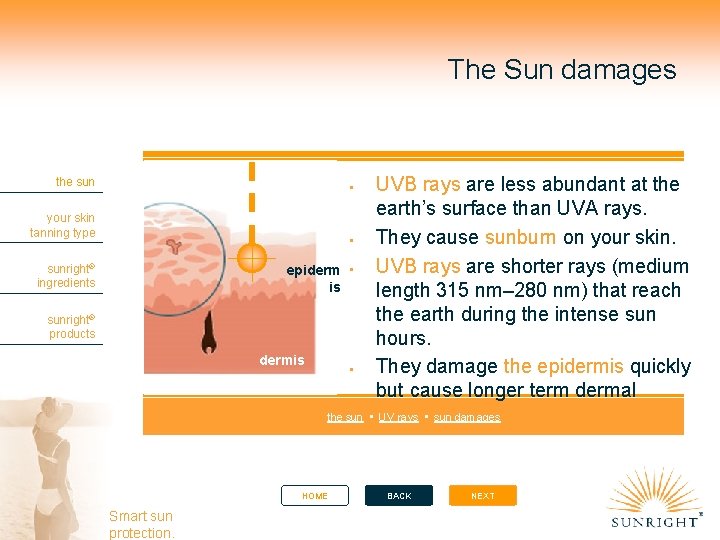 The Sun damages UVB rays are less abundant at the earth’s surface than UVA