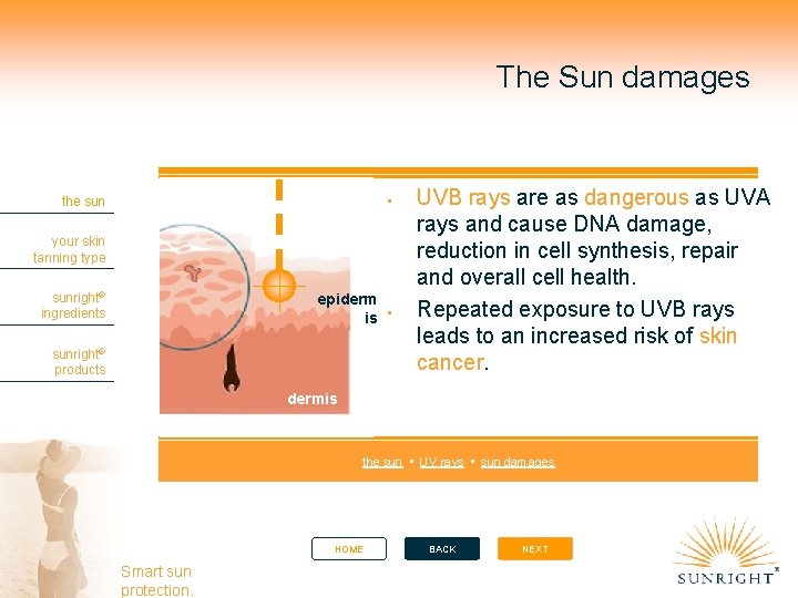 The Sun damages the sun your skin tanning type sunright® ingredients epiderm is sunright®