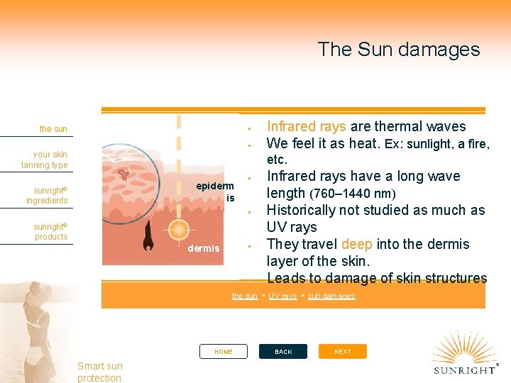 The Sun damages the sun your skin tanning type Infrared rays are thermal waves