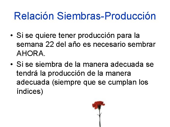 Relación Siembras-Producción • Si se quiere tener producción para la semana 22 del año