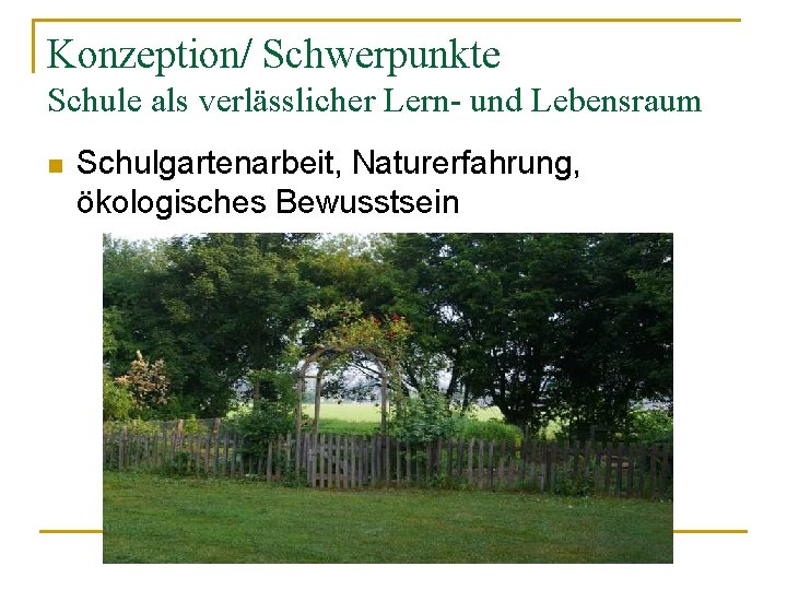 Konzeption/ Schwerpunkte Schule als verlässlicher Lern- und Lebensraum n Schulgartenarbeit, Naturerfahrung, ökologisches Bewusstsein 