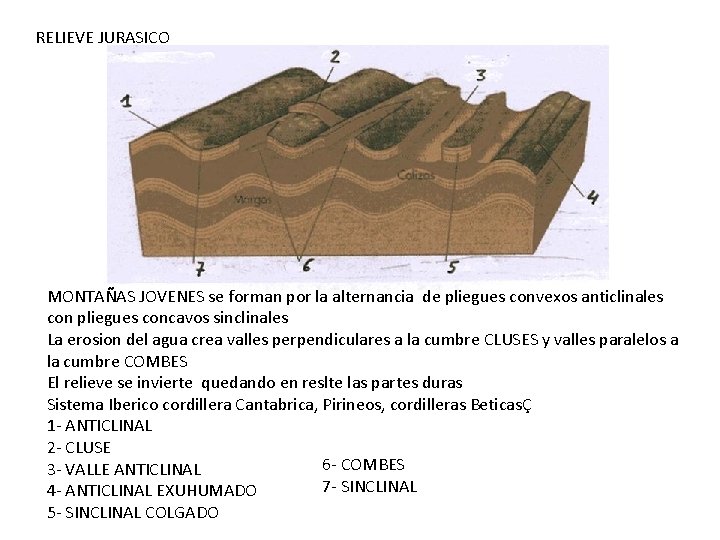 RELIEVE JURASICO MONTAÑAS JOVENES se forman por la alternancia de pliegues convexos anticlinales con