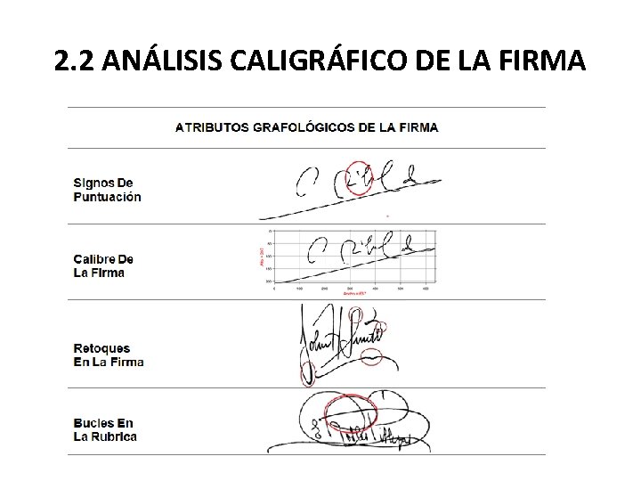 2. 2 ANÁLISIS CALIGRÁFICO DE LA FIRMA 