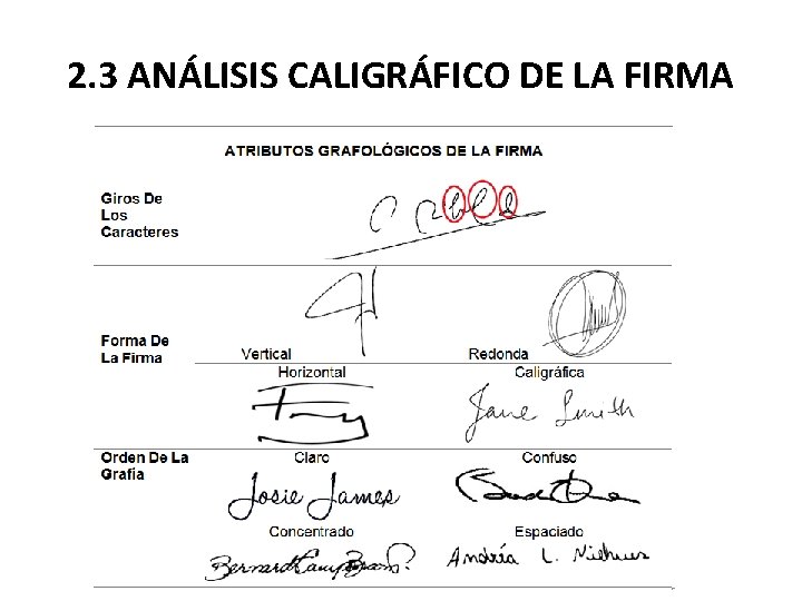 2. 3 ANÁLISIS CALIGRÁFICO DE LA FIRMA 