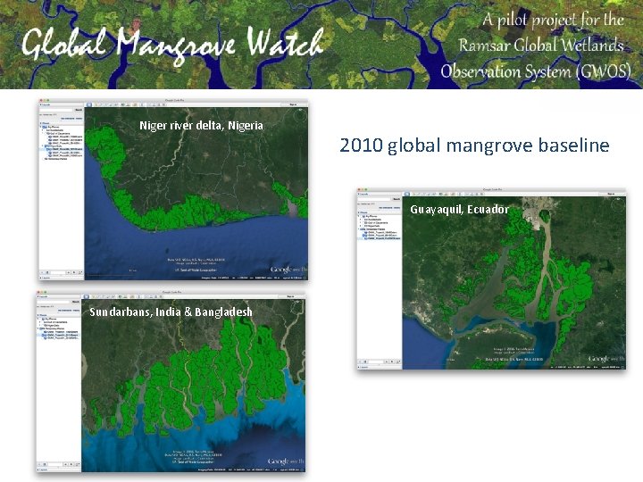 Niger river delta, Nigeria 2010 global mangrove baseline Guayaquil, Ecuador Sundarbans, India & Bangladesh