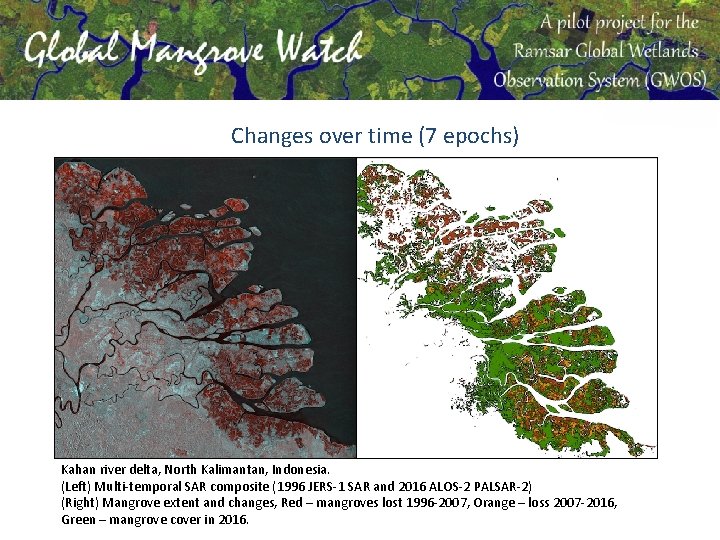 Changes over time (7 epochs) Kahan river delta, North Kalimantan, Indonesia. (Left) Multi-temporal SAR