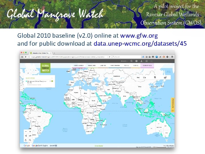 Global 2010 baseline (v 2. 0) online at www. gfw. org and for public