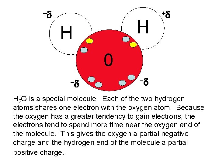 +d H H +d 0 -d -d H 2 O is a special molecule.