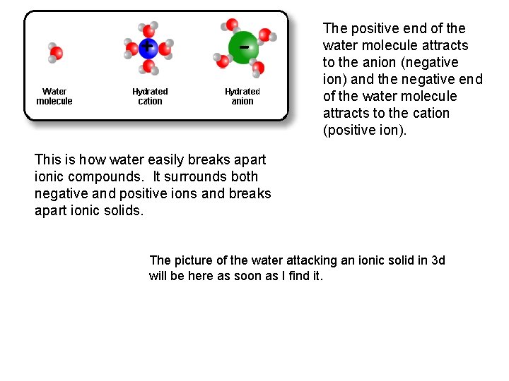 + - The positive end of the water molecule attracts to the anion (negative