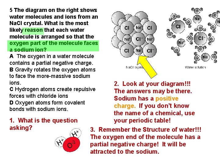 5 The diagram on the right shows water molecules and ions from an Na.