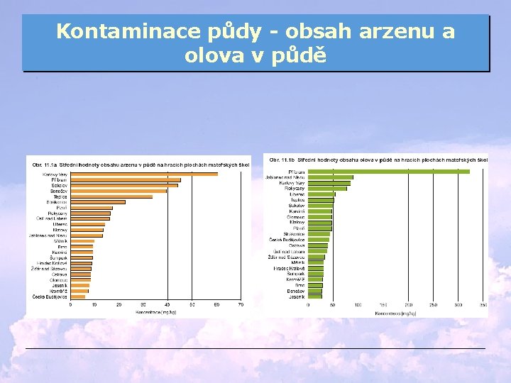 Kontaminace půdy - obsah arzenu a olova v půdě 