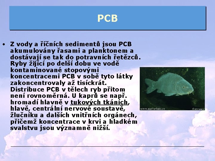 PCB • Z vody a říčních sedimentů jsou PCB akumulovány řasami a planktonem a