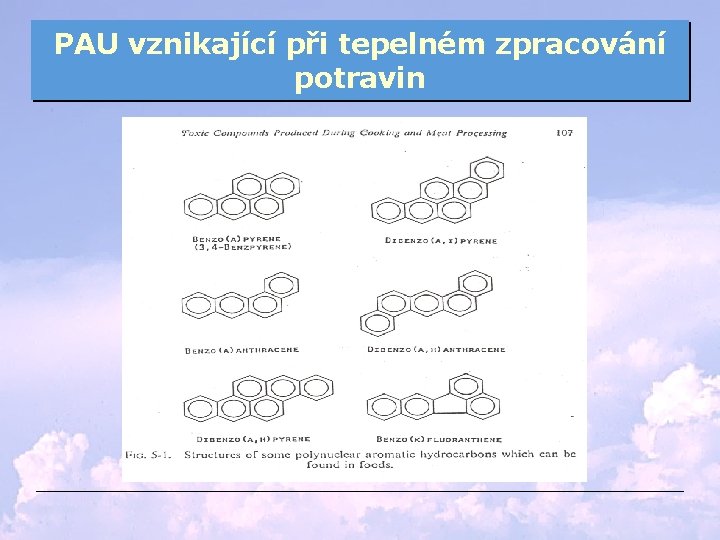 PAU vznikající při tepelném zpracování potravin 