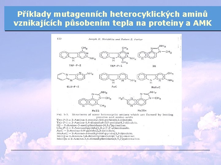 Příklady mutagenních heterocyklických aminů vznikajících působením tepla na proteiny a AMK 