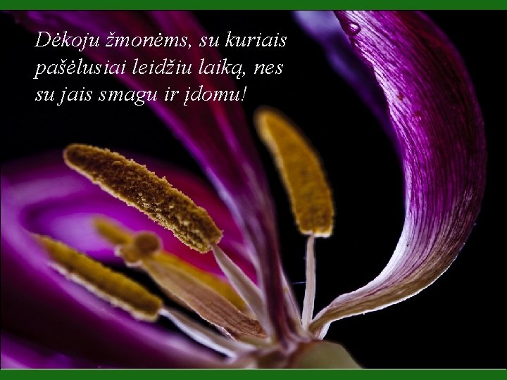 Dėkoju žmonėms, su kuriais pašėlusiai leidžiu laiką, nes su jais smagu ir įdomu! 
