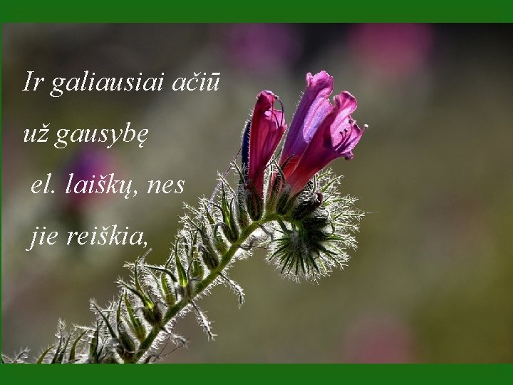 Ir galiausiai ačiū už gausybę el. laiškų, nes jie reiškia, 