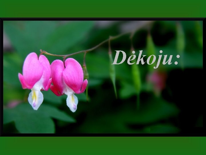 Dėkoju: 