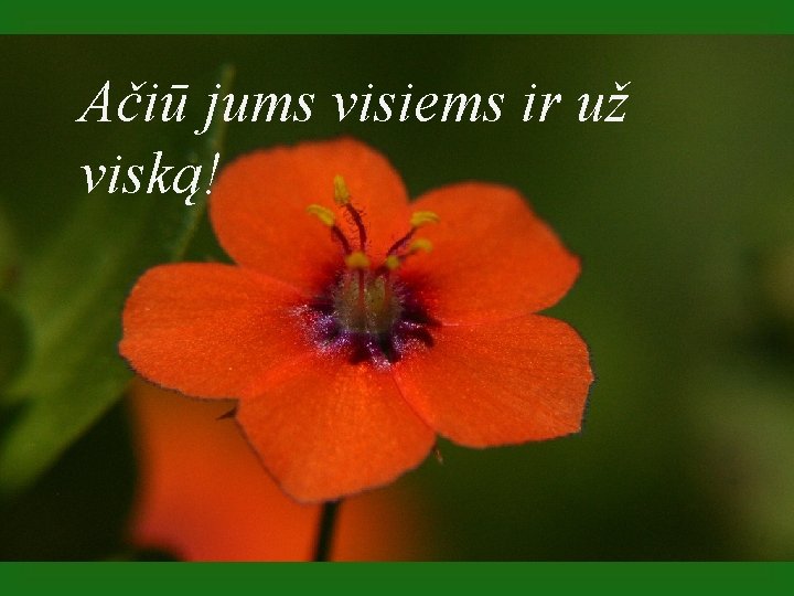 Ačiū jums visiems ir už viską! 
