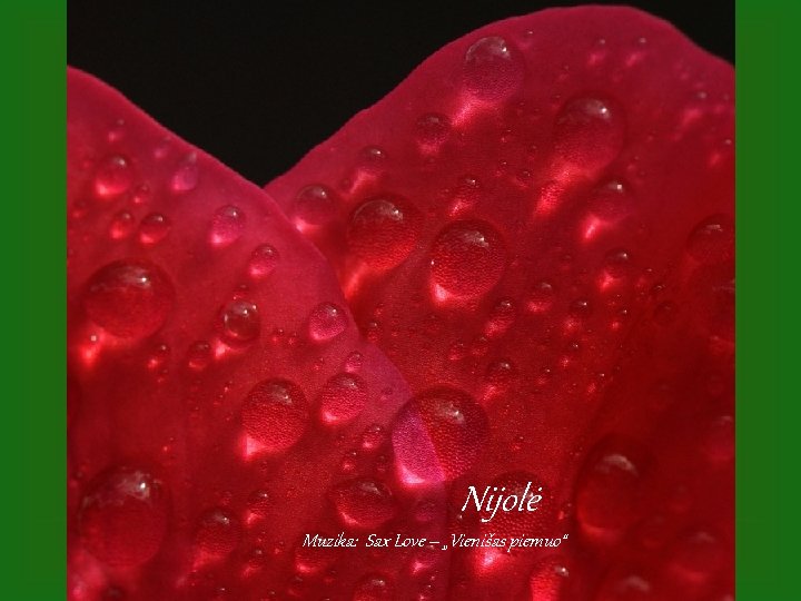 Nijolė Muzika: Sax Love – „Vienišas piemuo“ 
