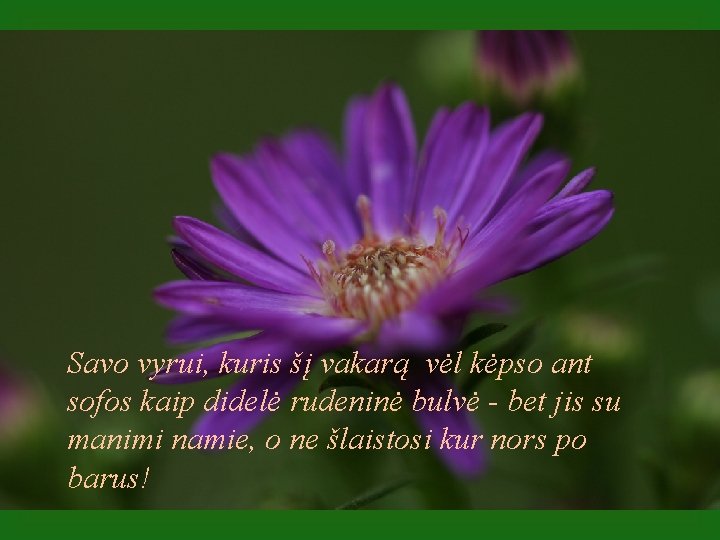 Savo vyrui, kuris šį vakarą vėl kėpso ant sofos kaip didelė rudeninė bulvė -