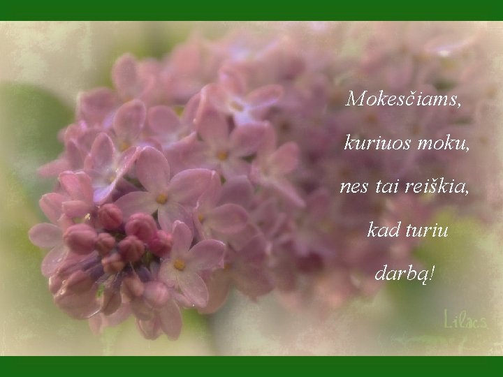 Mokesčiams, kuriuos moku, nes tai reiškia, kad turiu darbą! 