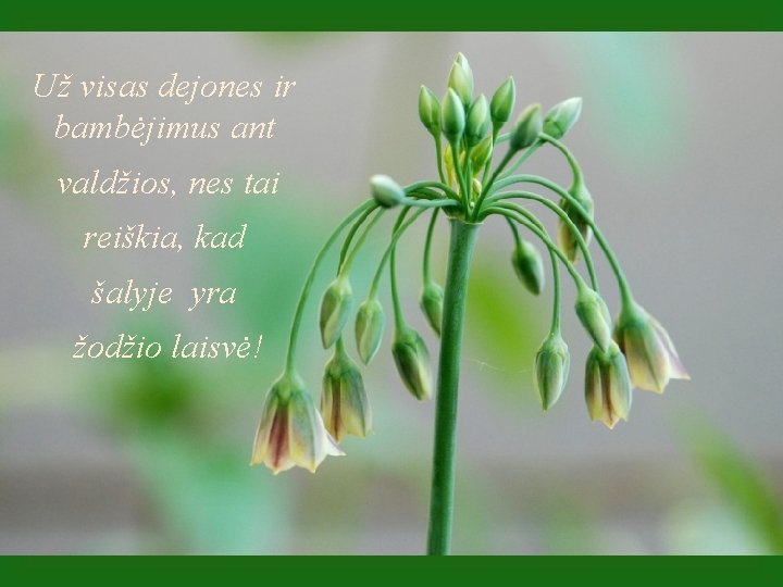 Už visas dejones ir bambėjimus ant valdžios, nes tai reiškia, kad šalyje yra žodžio