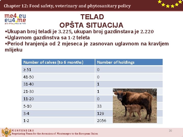 Chapter 12: Food safety, veterinary and phytosanitary policy TELAD OPŠTA SITUACIJA §Ukupan broj teladi