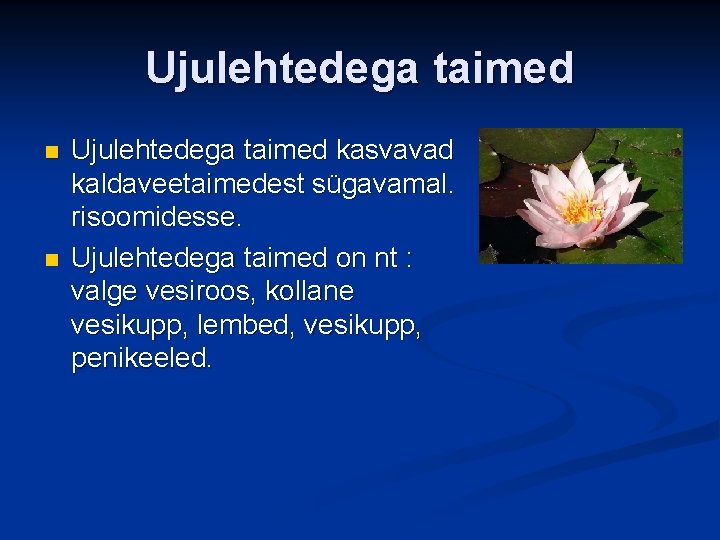 Ujulehtedega taimed n n Ujulehtedega taimed kasvavad kaldaveetaimedest sügavamal. risoomidesse. Ujulehtedega taimed on nt