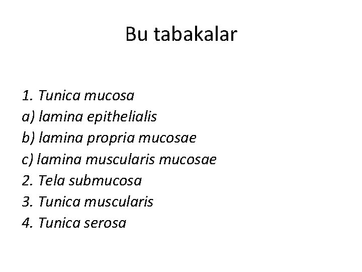 Bu tabakalar 1. Tunica mucosa a) lamina epithelialis b) lamina propria mucosae c) lamina