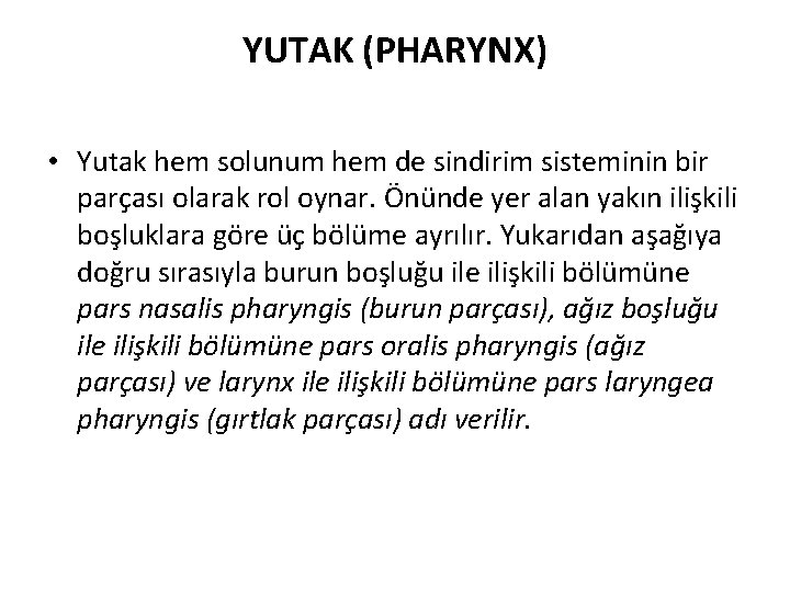 YUTAK (PHARYNX) • Yutak hem solunum hem de sindirim sisteminin bir parçası olarak rol