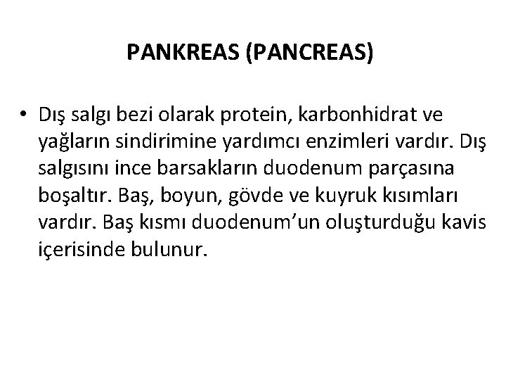PANKREAS (PANCREAS) • Dış salgı bezi olarak protein, karbonhidrat ve yağların sindirimine yardımcı enzimleri