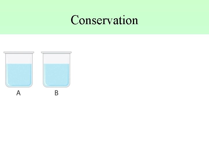 Conservation 