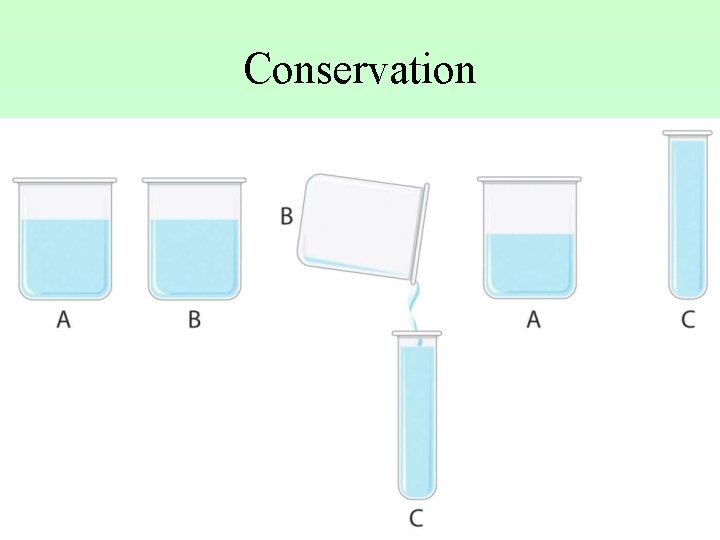 Conservation 