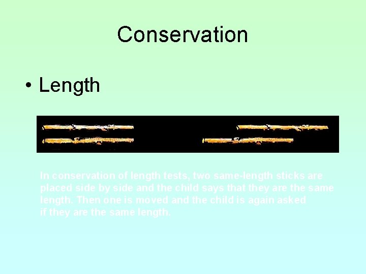 Conservation • Length In conservation of length tests, two same-length sticks are placed side