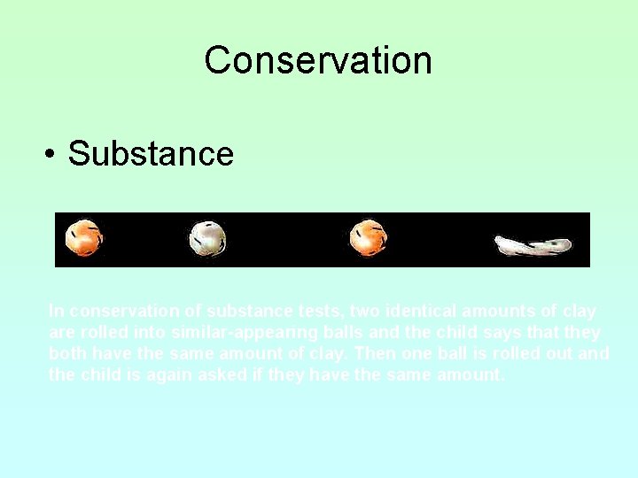 Conservation • Substance In conservation of substance tests, two identical amounts of clay are