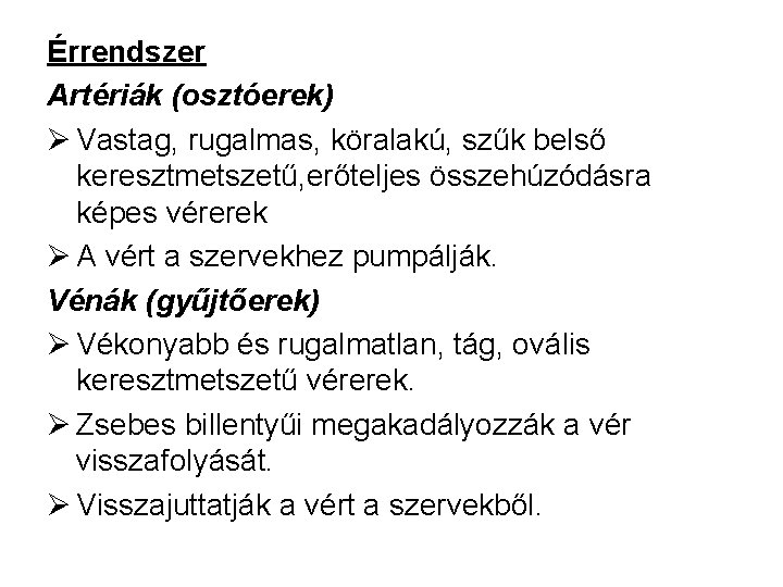 Érrendszer Artériák (osztóerek) Ø Vastag, rugalmas, köralakú, szűk belső keresztmetszetű, erőteljes összehúzódásra képes vérerek