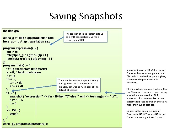 Saving Snapshots include gro alpha_g : = 100; // gfp production rate beta_g :