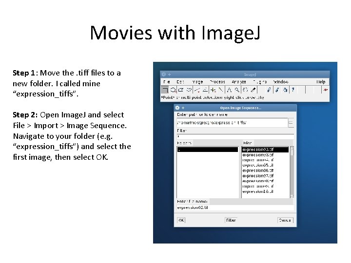 Movies with Image. J Step 1: Move the. tiff files to a new folder.